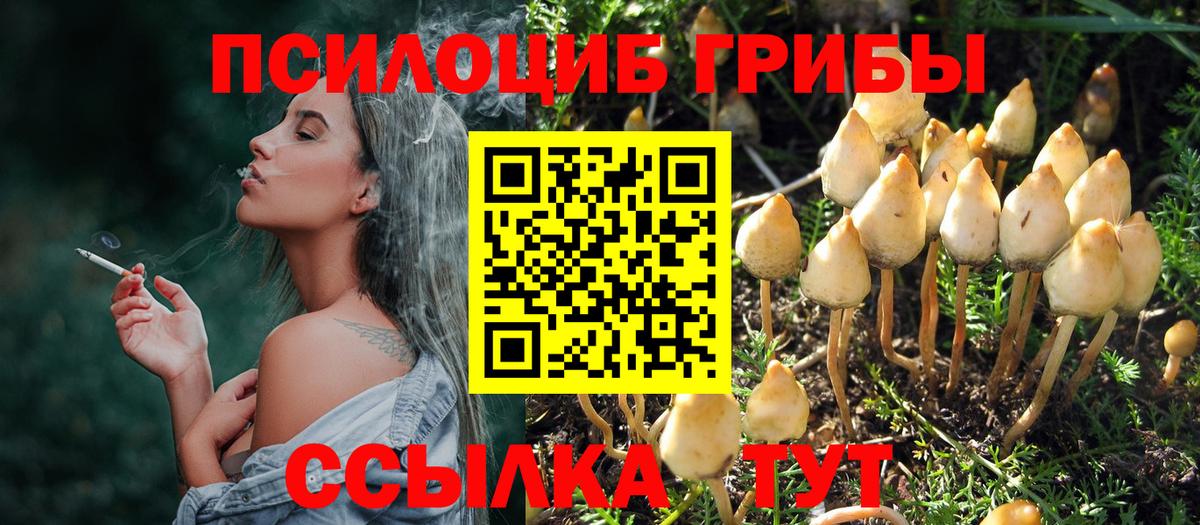 Галлюциногенные грибы прущие грибы Алексеевка