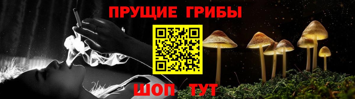 Алексеевка  Галлюциногенные грибы Cubensis  хочу   Вход с VPN  Псилоцибиновые грибы GOLDEN TEACHER 
